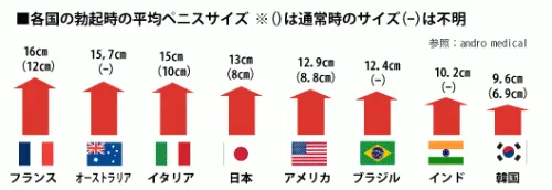 【2025年版】SEXするのに最適なチンポの長さは何cm?太さは?【50万人の統計】-4