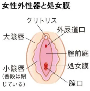 秘伝オンナを逝かすテクニック!俺が床の上で掴んだ「本物」の答え〜AV脳を捨てろ。9割の男が知らない、女性を絶頂に導く真実〜-5
