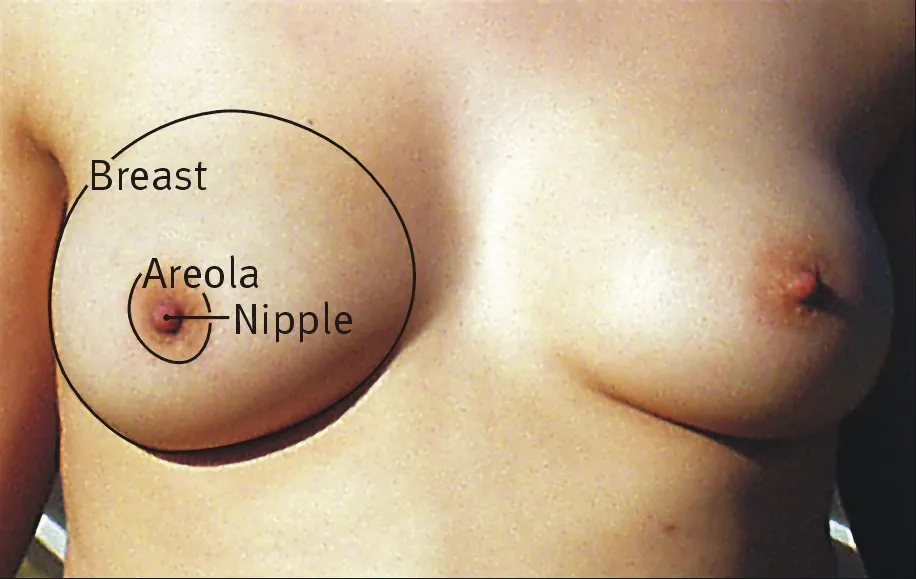 おっぱいを愛撫して感じるオンナに開発する方法-1